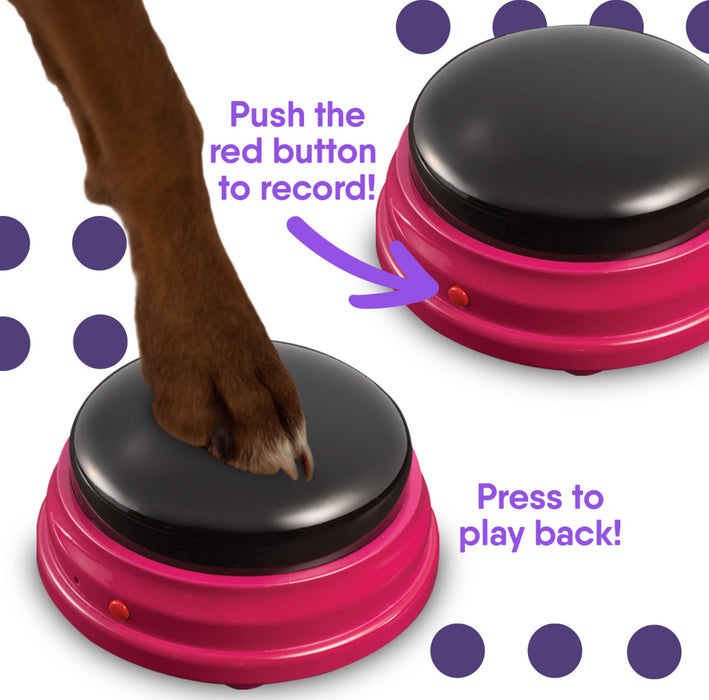 Talking Pet Starter Kit Pet Techoutlet