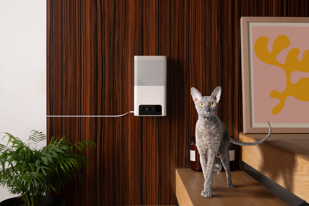 Petcube Bites 2 Lite Pet Feeder Petcube