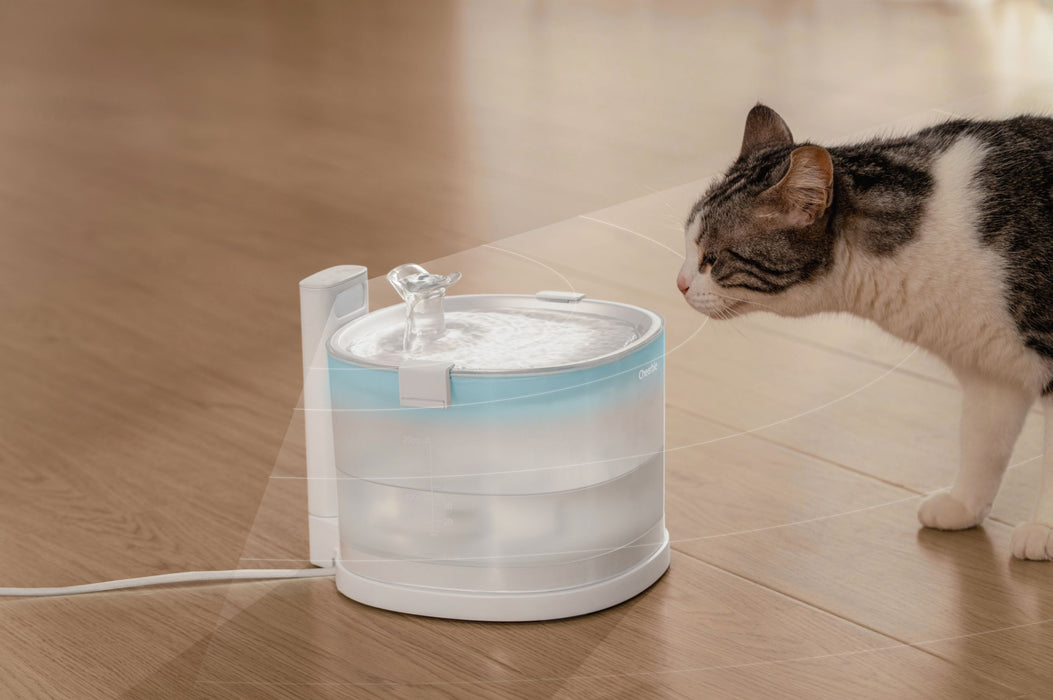Cheerble E1 Pet Fountain Pet Feeder Cheerble