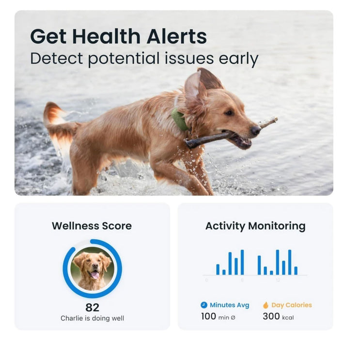 Tractive: GPS DOG XL - Green Tracker Tractive