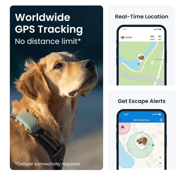 Tractive: GPS DOG XL - Green Tracker Tractive