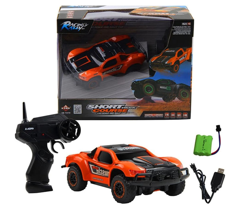 Mini Rc Car, Remote Control Vehicle, All Terrain Electric RC Truck RC CAR Techoutlet
