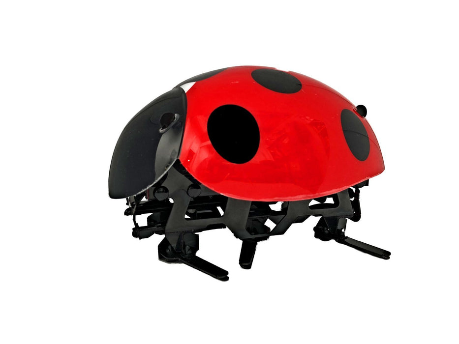 Crazy Jittery RC Lady Bug 3 month warranty applies Tech Outlet