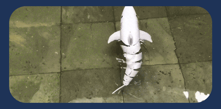 Remote Control Shark that actually swims! - Gray 3 month warranty applies Tech Outlet