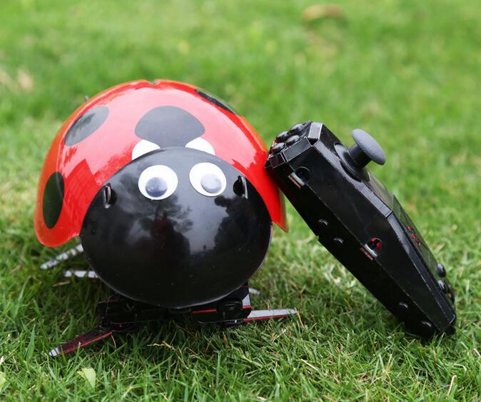 Crazy Jittery RC Lady Bug 3 month warranty applies Tech Outlet