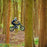 Tromox MC10 Trail X Electric Dirt Bike Electric Dirt Bike Surron 