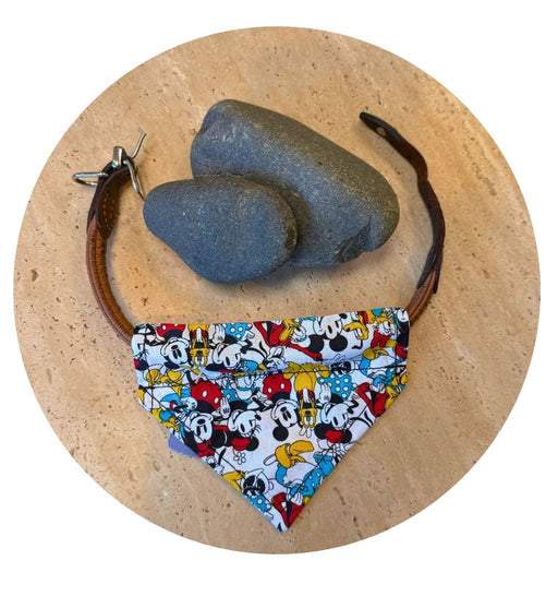 Pet Bandanas - Small Bandanas Just 4 Pets 
