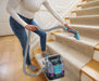 Shark® StainStriker™ HairPro® Pet Portable Spot & Stain Cleaner Spot Cleaner Shark 