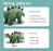 Simulation Plush Remote Stegosaurus Tech Outlet 